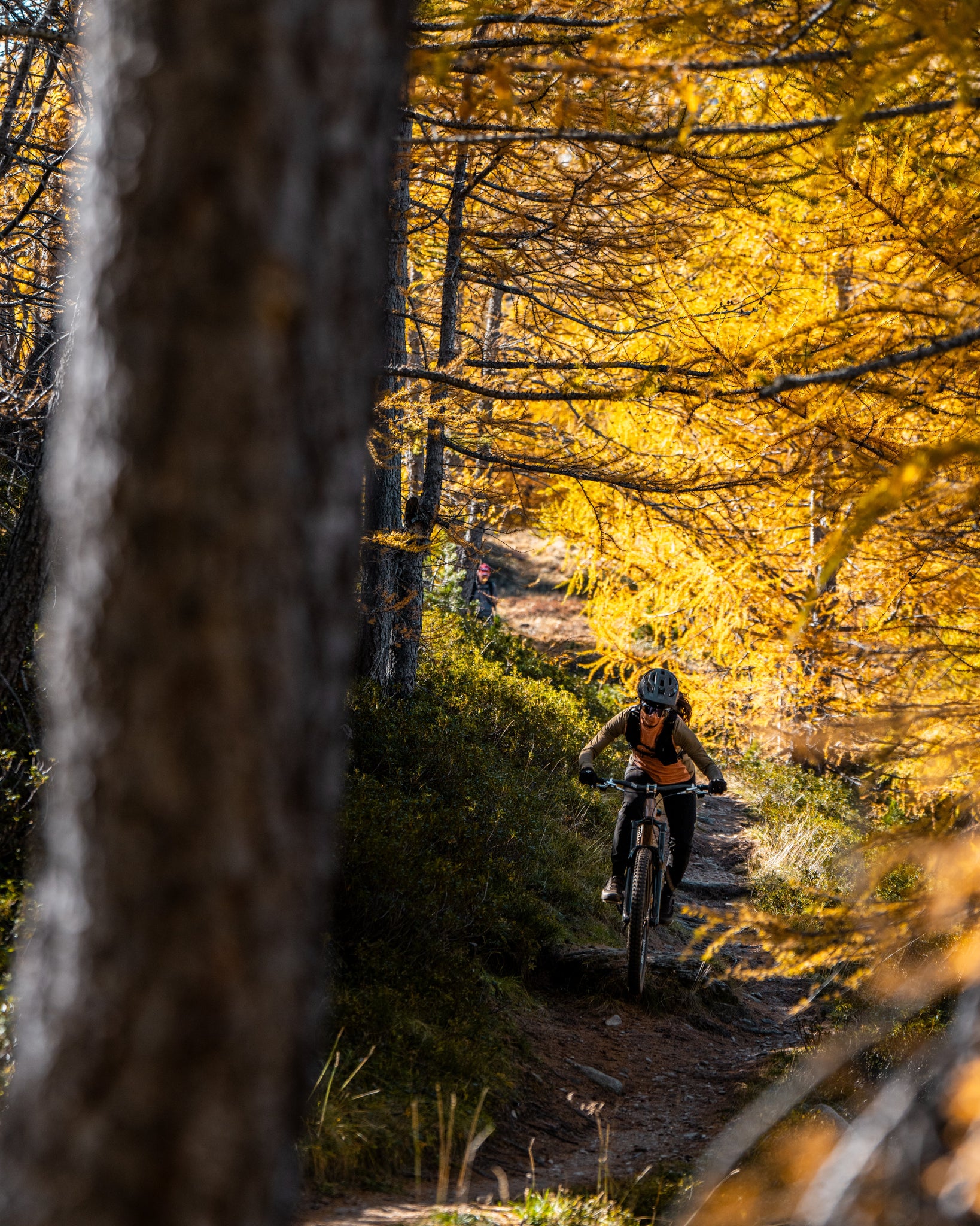 MTB-Tour Passo del Sole: Kurz, intensiv – und einfach goldig (inkl. GPX-Track)